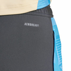 Argentina National Team 2024 AEROREADY Training Pants for sale - Gray