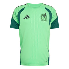Mexico National Team FIFA x World Cup 2026 Tiro Home Training Jersey for sale - Green
