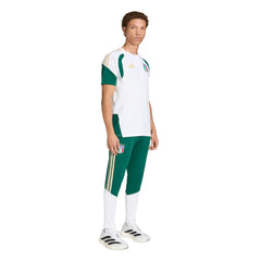 Italy National Team FIFA x World Cup 2026 Tiro Training Pants for sale - Green