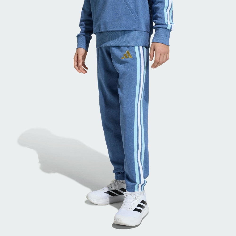Argentina National Team Youth FIFA x World Cup Alphaskin Pants for sale - Blue