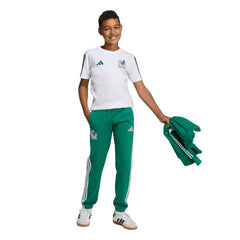 Mexico National Team Youth FIFA x World Cup Alphaskin Pants for sale - Green