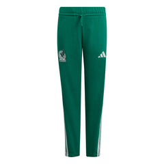 Mexico National Team Youth FIFA x World Cup Alphaskin Pants for sale - Green