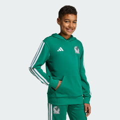 Mexico National Team Youth FIFA x World Cup Alphaskin Hoodie for sale - Green
