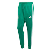 2026 Mexico Men's DNA Pants