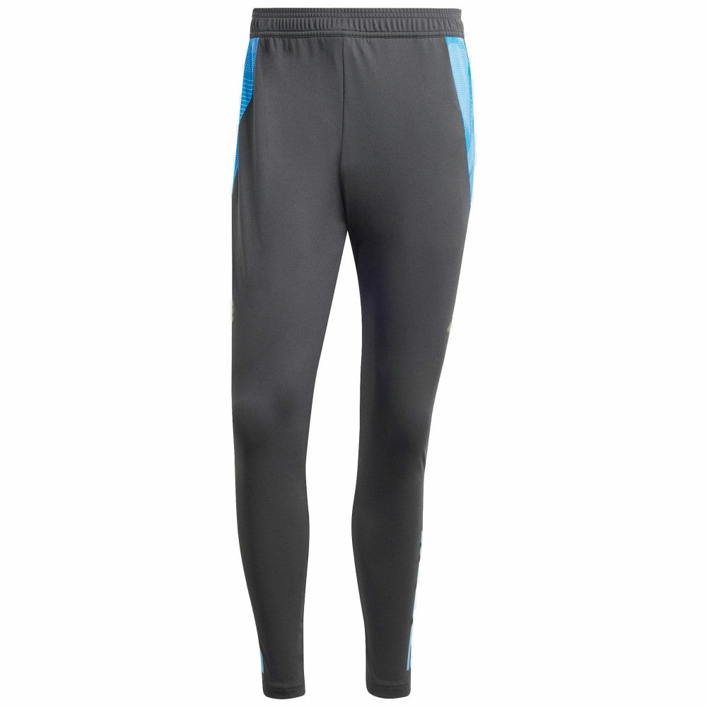 Argentina National Team 2024 AEROREADY Training Pants for sale - Gray 