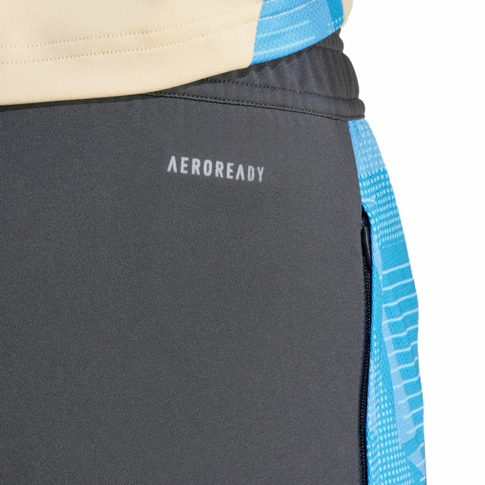Argentina National Team 2024 AEROREADY Training Pants for sale - Gray 