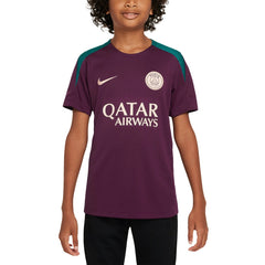 Paris Saint-Germain Youth 2024/25 Strike Training Performance Top on sale - Burgundy 