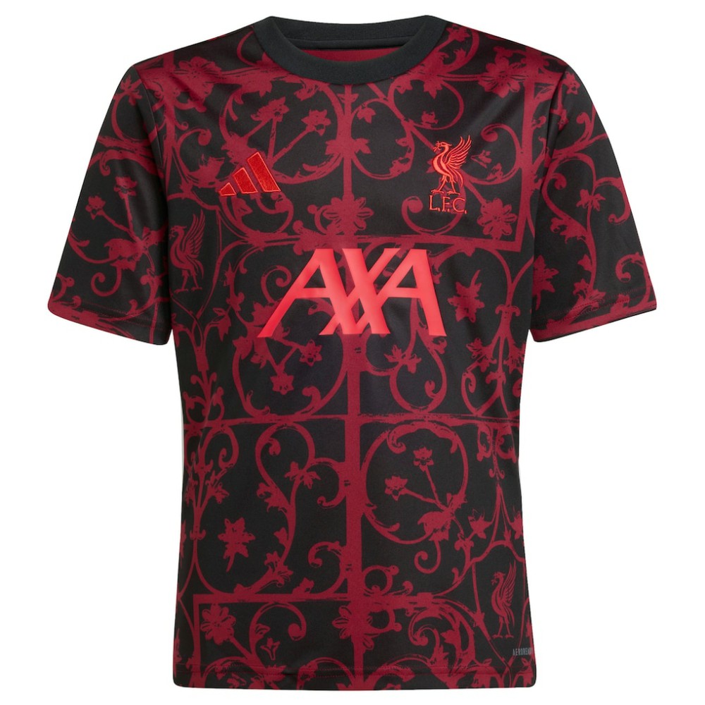 Liverpool Youth 2025/26 Pre-Match AEROREADY Top Discount - Black 