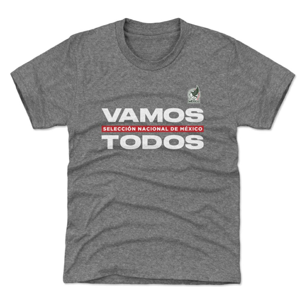 Mexico National Team 500 Level Youth Vamos Todos T-Shirt for sale - Gray 