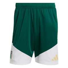 Italy National Team FIFA x World Cup 2026 Tiro Training Shorts for sale - Green 