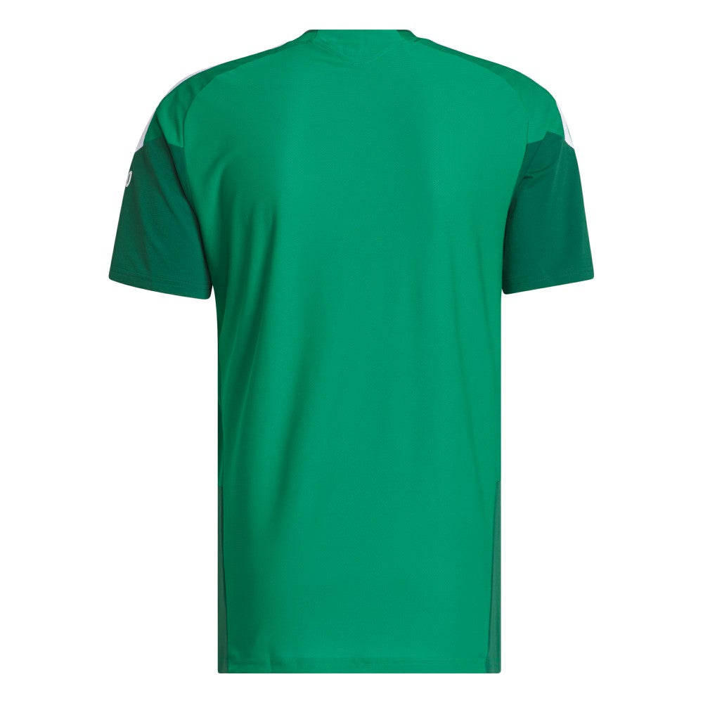 Mexico National Team FIFA x World Cup 2026 Tiro Pro Training Top for sale - Green 