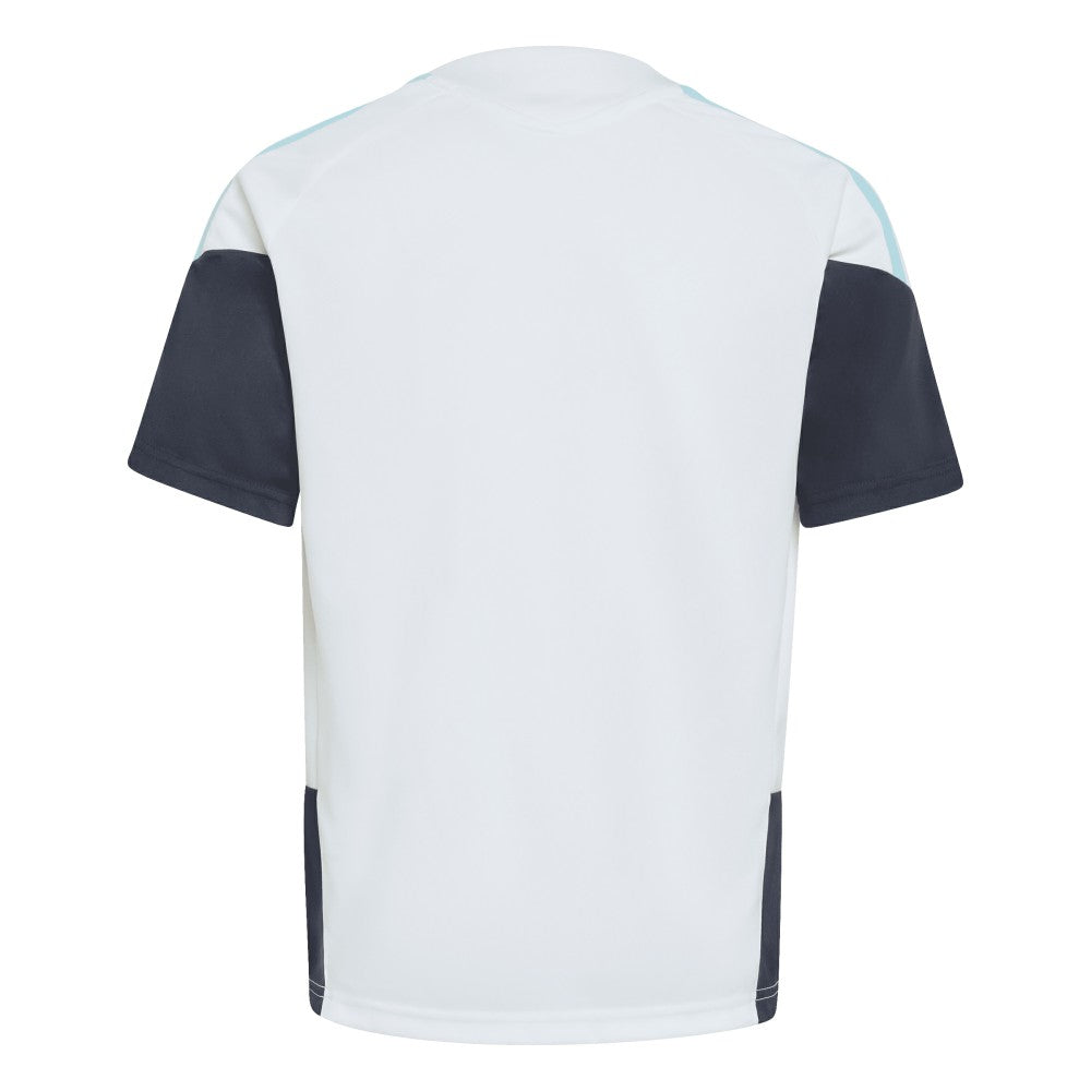 Argentina National Team Youth FIFA x World Cup 2026 Tiro Training Jersey for sale - White 