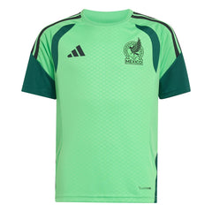 Mexico National Team Youth FIFA x World Cup 2026 Tiro Training Jersey for sale - Green 