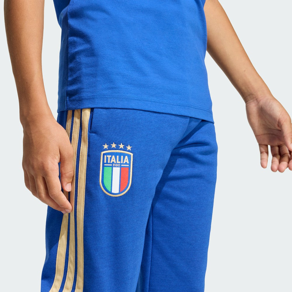 Italy National Team Youth FIFA x World Cup Alphaskin Pants for sale - Blue 
