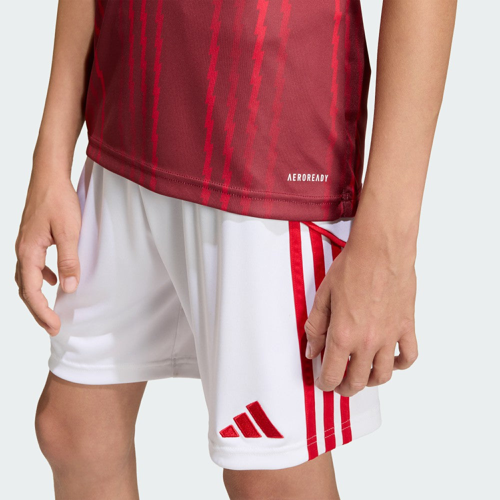 Arsenal Youth 2025/26 Pre-Match Training Jersey on sale - Red 