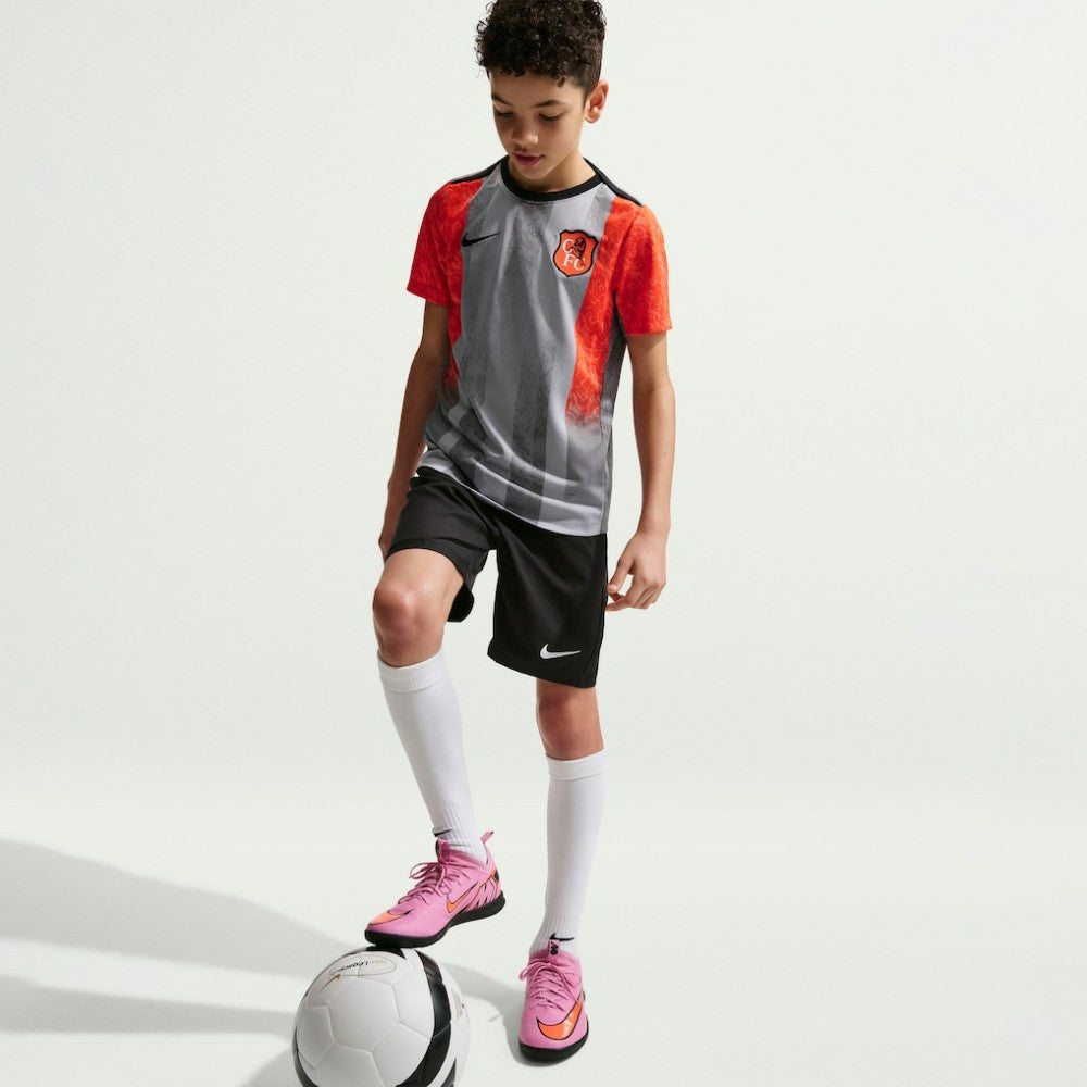 Chelsea Youth 2025/26 Academy Pro Pre-Match Top on sale - Gray 