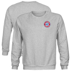 Bayern Munich 1863FC Youth Color Badge Sweatshirt on sale - Gray 