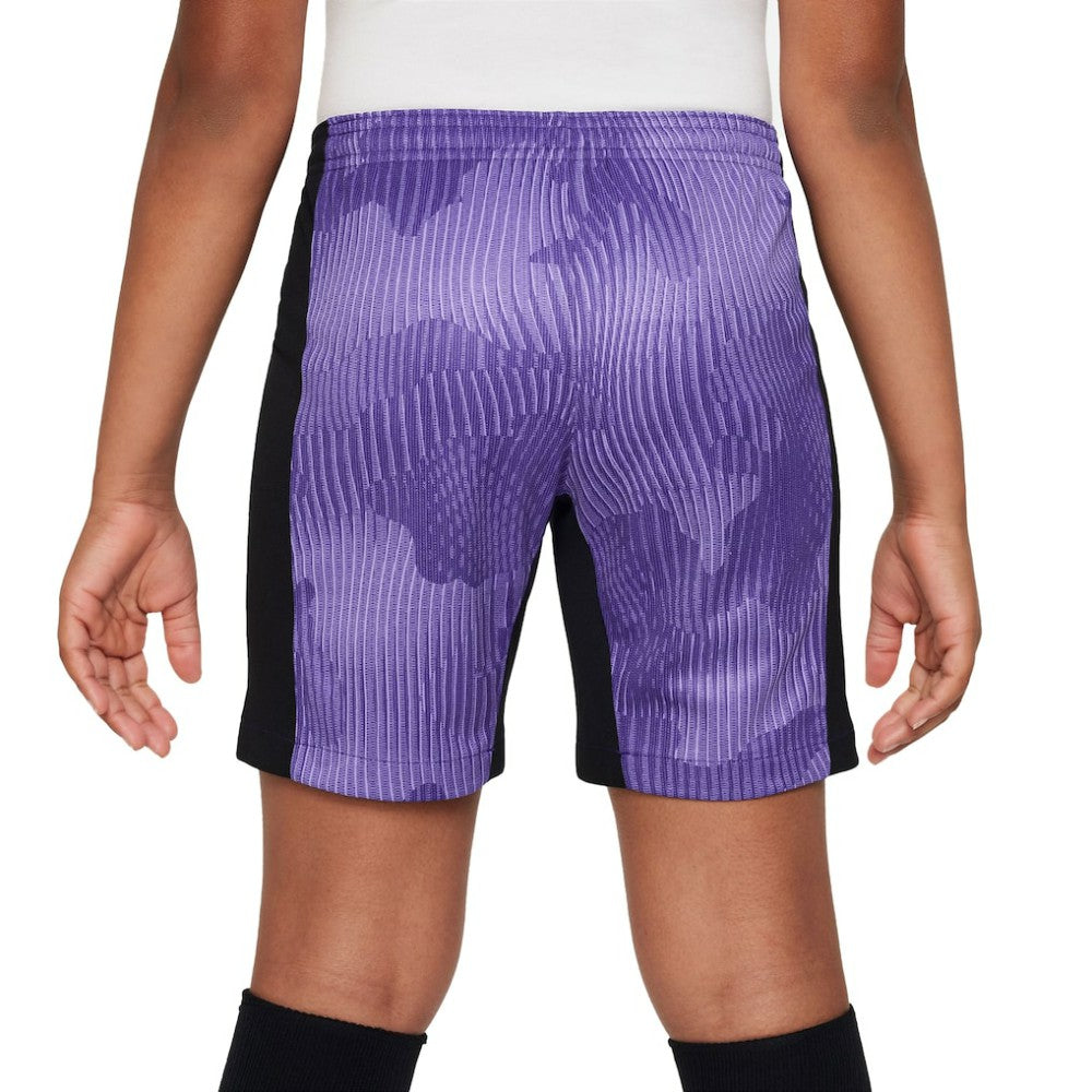 Liverpool Youth 2023/24 Third Stadium Performance Shorts Discount - Purple 