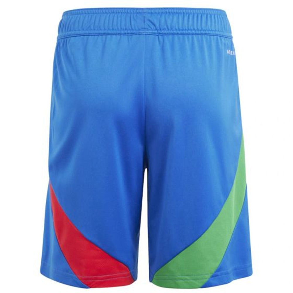 Italy Away Shorts EURO 