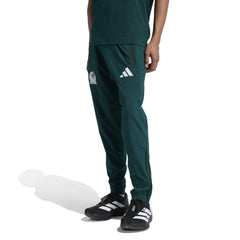 2026 Mexico Men's Track Pants Aurora Ivy 
