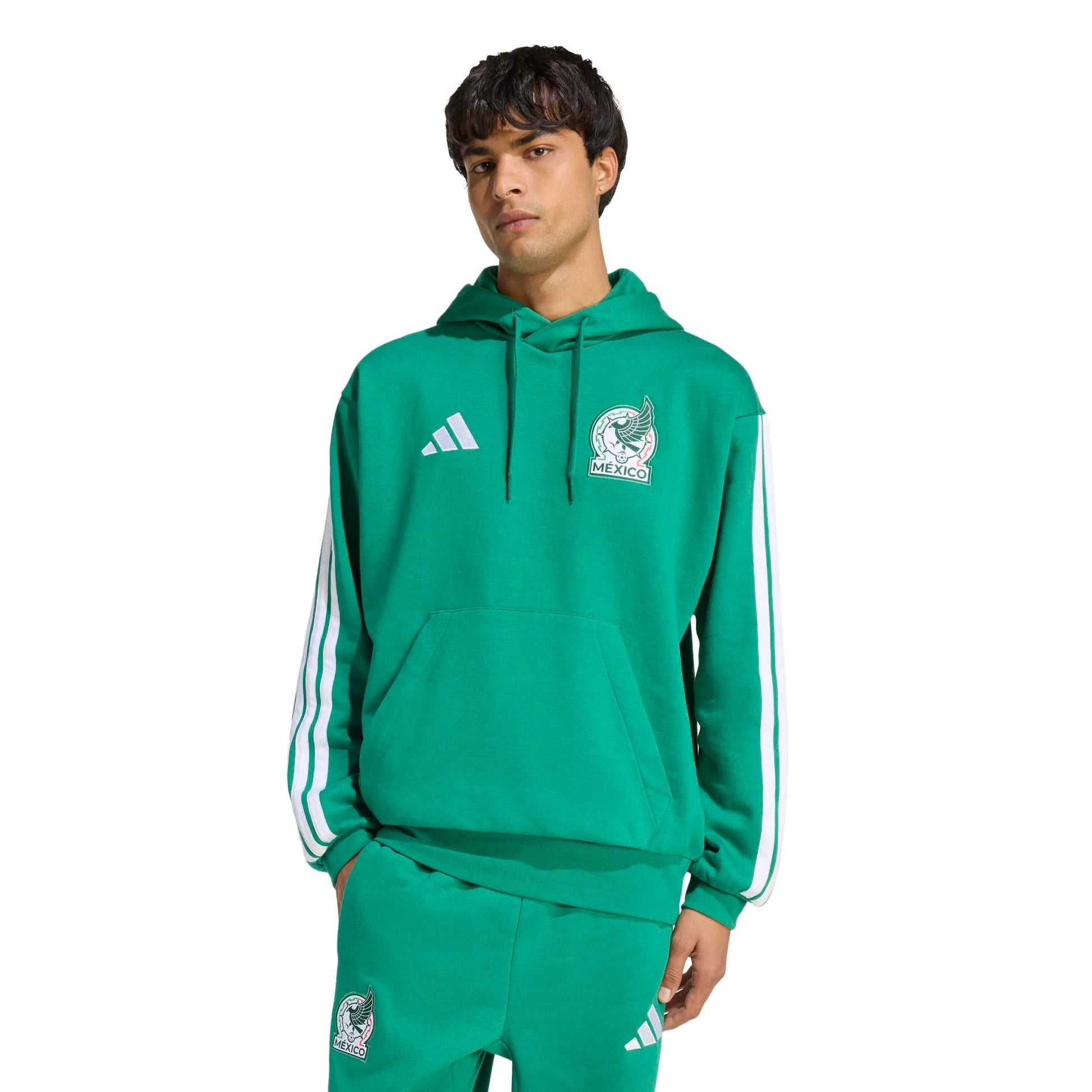 2026 Mexico Men's DNA Hoodie Bold Green 