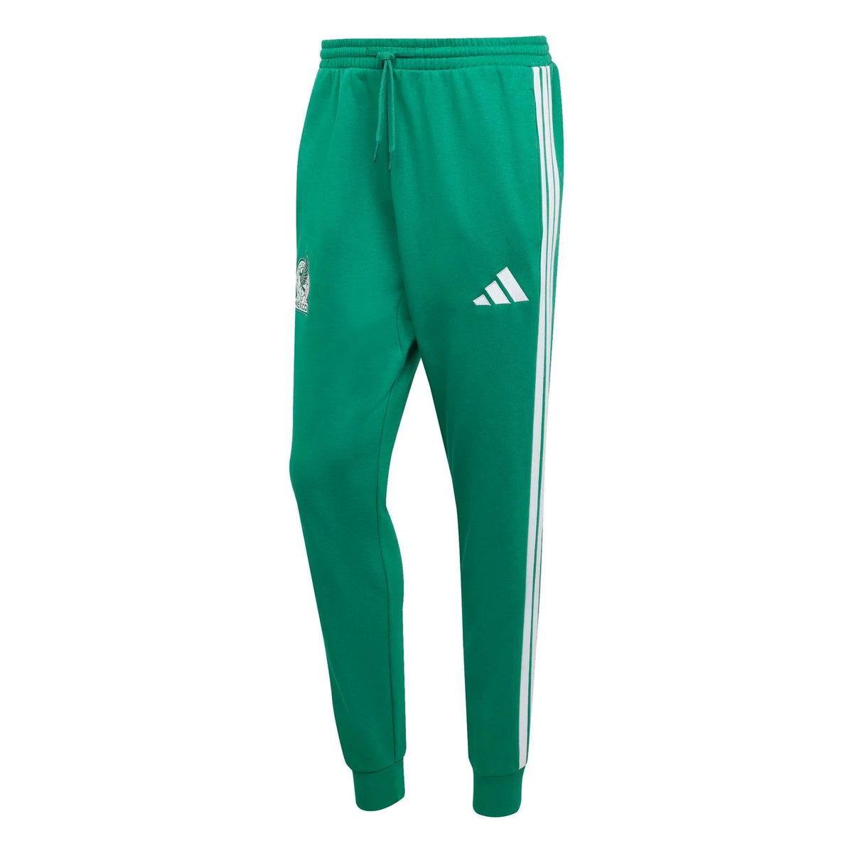 2026 Mexico Men's DNA Pants Bold Green 