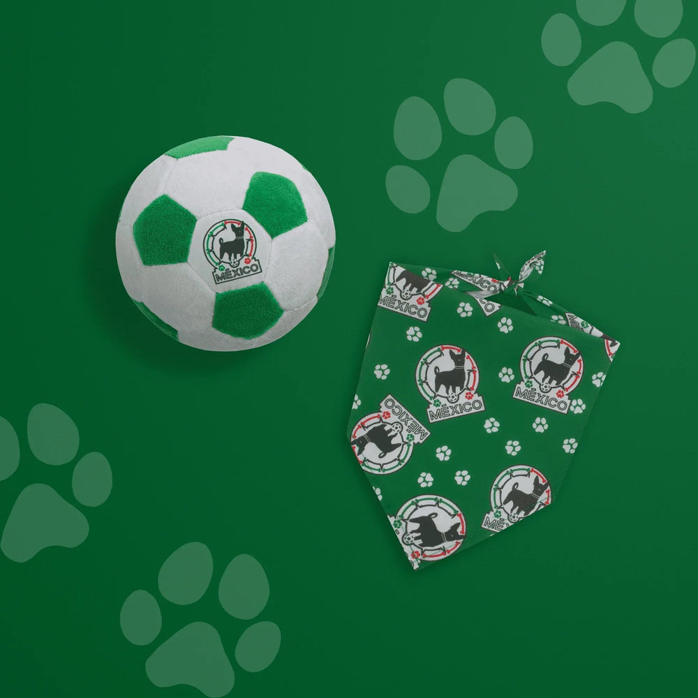 Floofball Mexico Dog Bandana